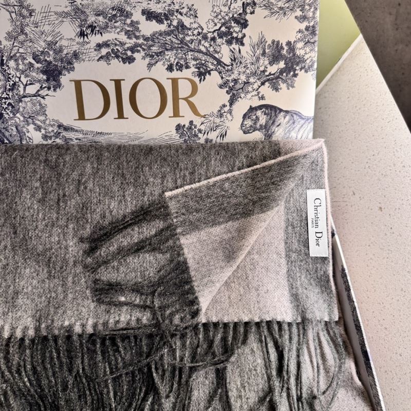 Christian Dior Scarf